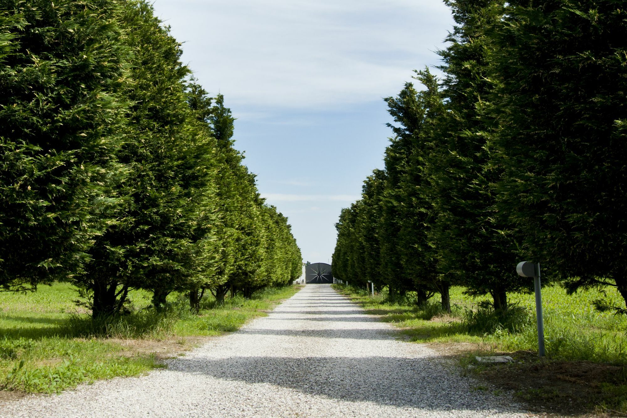 Il Giardino Di Rebecca Panzió Ferrara Kültér fotó